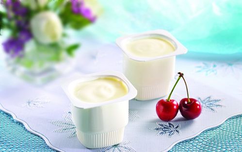 酸乳制品加工管道的清洗與消毒全流程指南